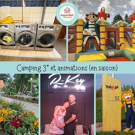 Boofzheim Chez Philippe Et Sylvie - 2 Bungalows Pour 5 Proche Europa-Park المظهر الخارجي الصورة